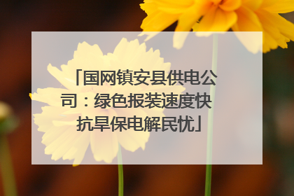 国网镇安县供电公司：绿色报装速度快 抗旱保电解民忧