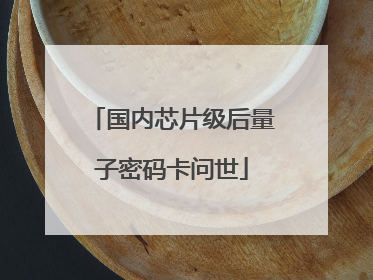 国内芯片级后量子密码卡问世
