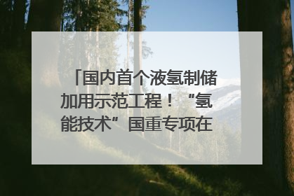 国内首个液氢制储加用示范工程！“氢能技术”国重专项在四川南充启动｜打赢经济发展翻身仗