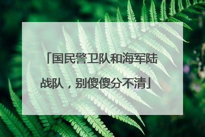 国民警卫队和海军陆战队，别傻傻分不清