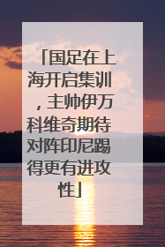 国足在上海开启集训，主帅伊万科维奇期待对阵印尼踢得更有进攻性