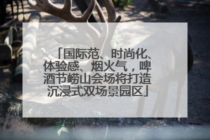 国际范、时尚化、体验感、烟火气，啤酒节崂山会场将打造沉浸式双场景园区