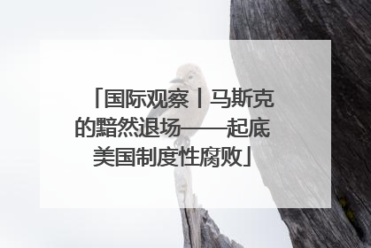国际观察丨马斯克的黯然退场——起底美国制度性腐败