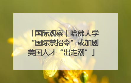 国际观察｜哈佛大学“国际禁招令”或加剧美国人才“出走潮”