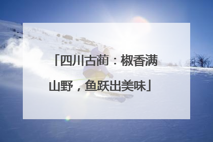 四川古蔺：椒香满山野，鱼跃出美味