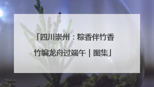 四川崇州：粽香伴竹香 竹编龙舟过端午｜图集