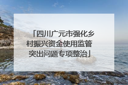 四川广元市强化乡村振兴资金使用监管突出问题专项整治