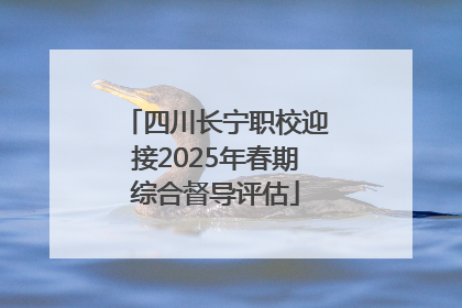 四川长宁职校迎接2025年春期综合督导评估