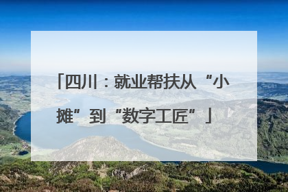 四川：就业帮扶从“小摊”到“数字工匠”