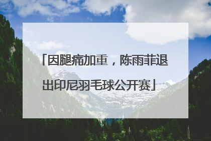 因腿痛加重，陈雨菲退出印尼羽毛球公开赛