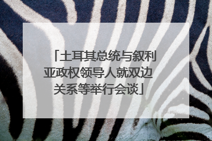土耳其总统与叙利亚政权领导人就双边关系等举行会谈
