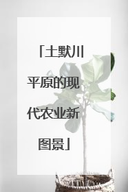 土默川平原的现代农业新图景