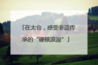 在太仓，感受非遗传承的“硬核浪漫”