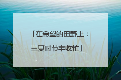 在希望的田野上：三夏时节丰收忙