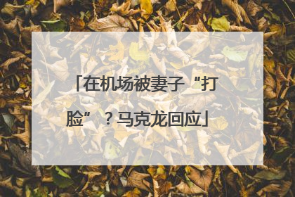 在机场被妻子“打脸”？马克龙回应