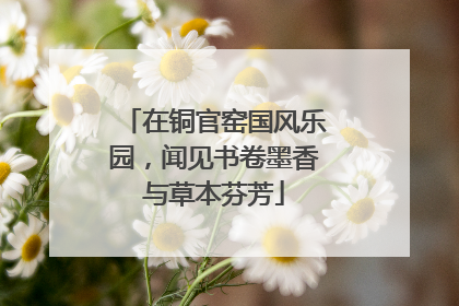 在铜官窑国风乐园，闻见书卷墨香与草本芬芳