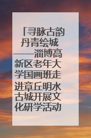 寻脉古韵 丹青绘城——淄博高新区老年大学国画班走进章丘明水古城开展文化研学活动