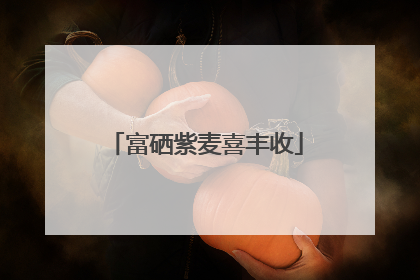 富硒紫麦喜丰收