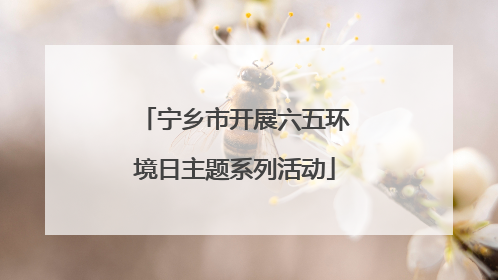宁乡市开展六五环境日主题系列活动