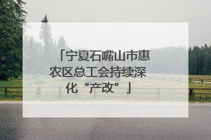 宁夏石嘴山市惠农区总工会持续深化“产改”