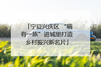 宁夏兴庆区 “曦有一族”进城里打造乡村振兴新名片