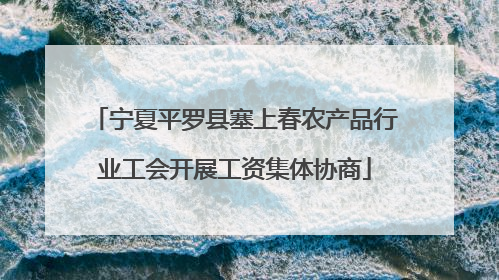 宁夏平罗县塞上春农产品行业工会开展工资集体协商