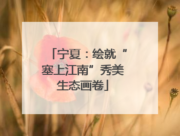 宁夏：绘就“塞上江南”秀美生态画卷