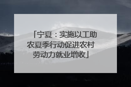 宁夏：实施以工助农夏季行动促进农村劳动力就业增收