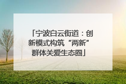宁波白云街道：创新模式构筑“两新”群体关爱生态圈