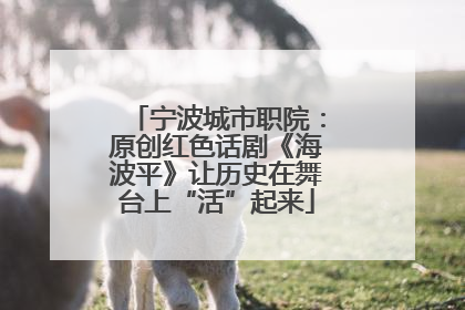 宁波城市职院：原创红色话剧《海波平》让历史在舞台上“活”起来