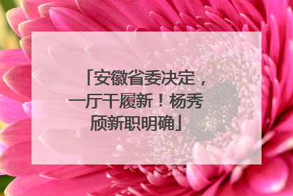 安徽省委决定，一厅干履新！杨秀颀新职明确