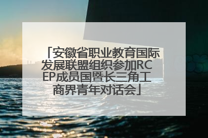 安徽省职业教育国际发展联盟组织参加RCEP成员国暨长三角工商界青年对话会
