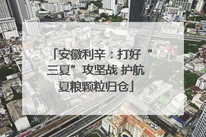 安徽利辛：打好“三夏”攻坚战 护航夏粮颗粒归仓