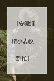 安徽埇桥小麦收割忙