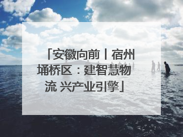 安徽向前丨宿州埇桥区：建智慧物流 兴产业引擎
