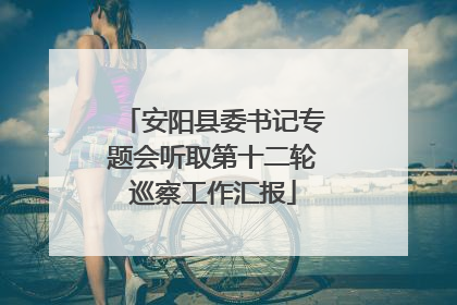 安阳县委书记专题会听取第十二轮巡察工作汇报
