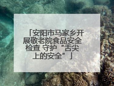 安阳市马家乡开展敬老院食品安全检查 守护“舌尖上的安全”
