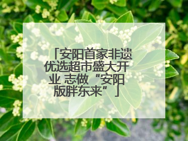 安阳首家非遗优选超市盛大开业 志做“安阳版胖东来”