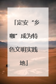 定安“乡咖”成为特色文明实践地