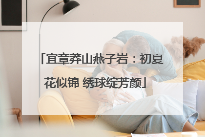 宜章莽山燕子岩：初夏花似锦 绣球绽芳颜