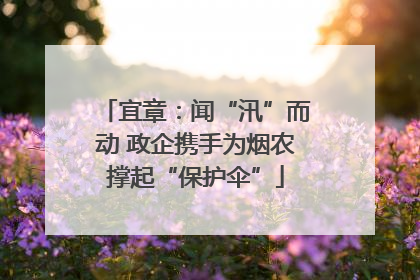 宜章：闻“汛”而动 政企携手为烟农撑起“保护伞”