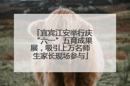 宜宾江安举行庆“六一”五育成果展，吸引上万名师生家长现场参与