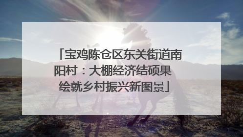 宝鸡陈仓区东关街道南阳村：大棚经济结硕果 绘就乡村振兴新图景