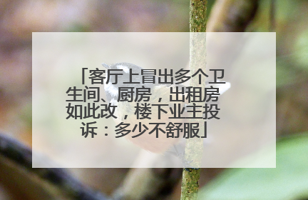 客厅上冒出多个卫生间、厨房，出租房如此改，楼下业主投诉：多少不舒服