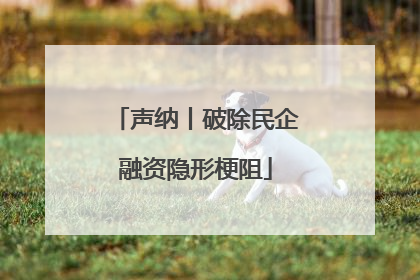 声纳丨破除民企融资隐形梗阻