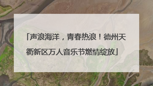 声浪海洋，青春热浪！德州天衢新区万人音乐节燃情绽放