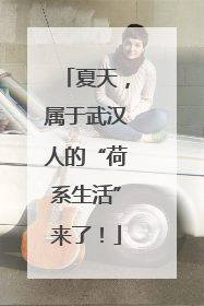 夏天，属于武汉人的“荷系生活”来了！