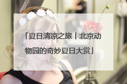 夏日清凉之旅丨北京动物园的奇妙夏日大赏