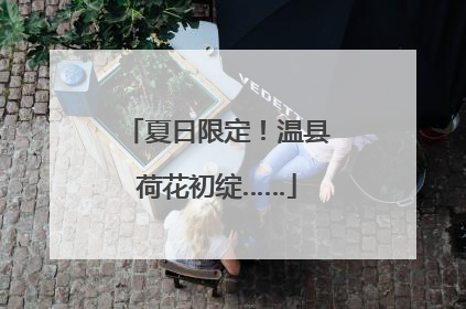 夏日限定！温县荷花初绽……