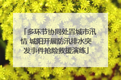 多环节协同处置城市汛情 城阳开展防汛排水突发事件抢险救援演练